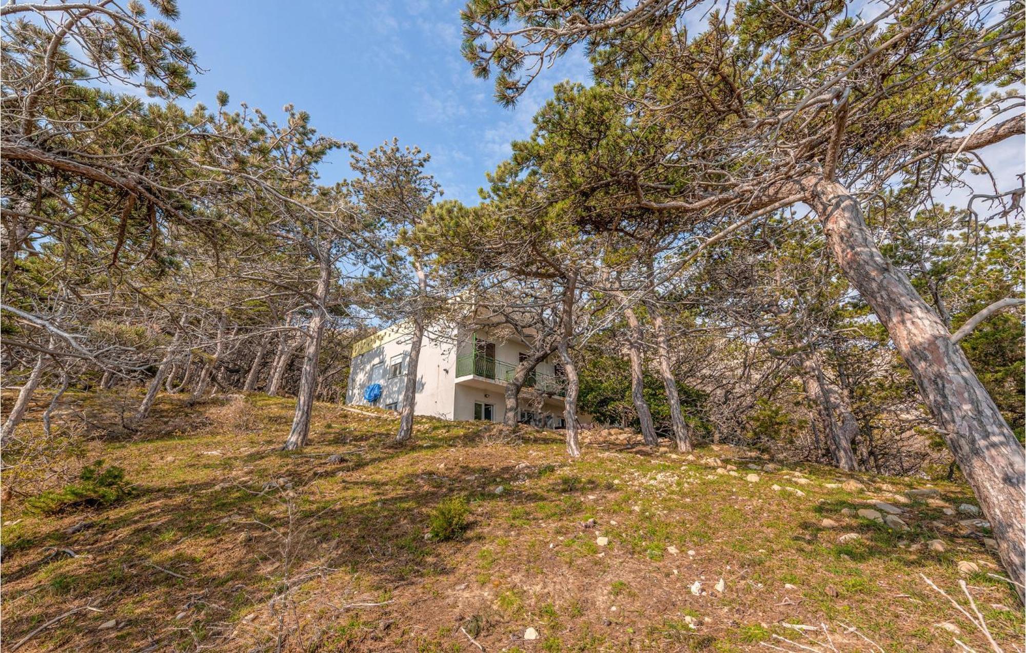 Pet Friendly Apartment In Novalja With Kitchen エクステリア 写真